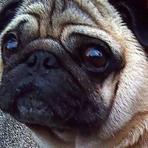 Meet your Posher, Mary madeline